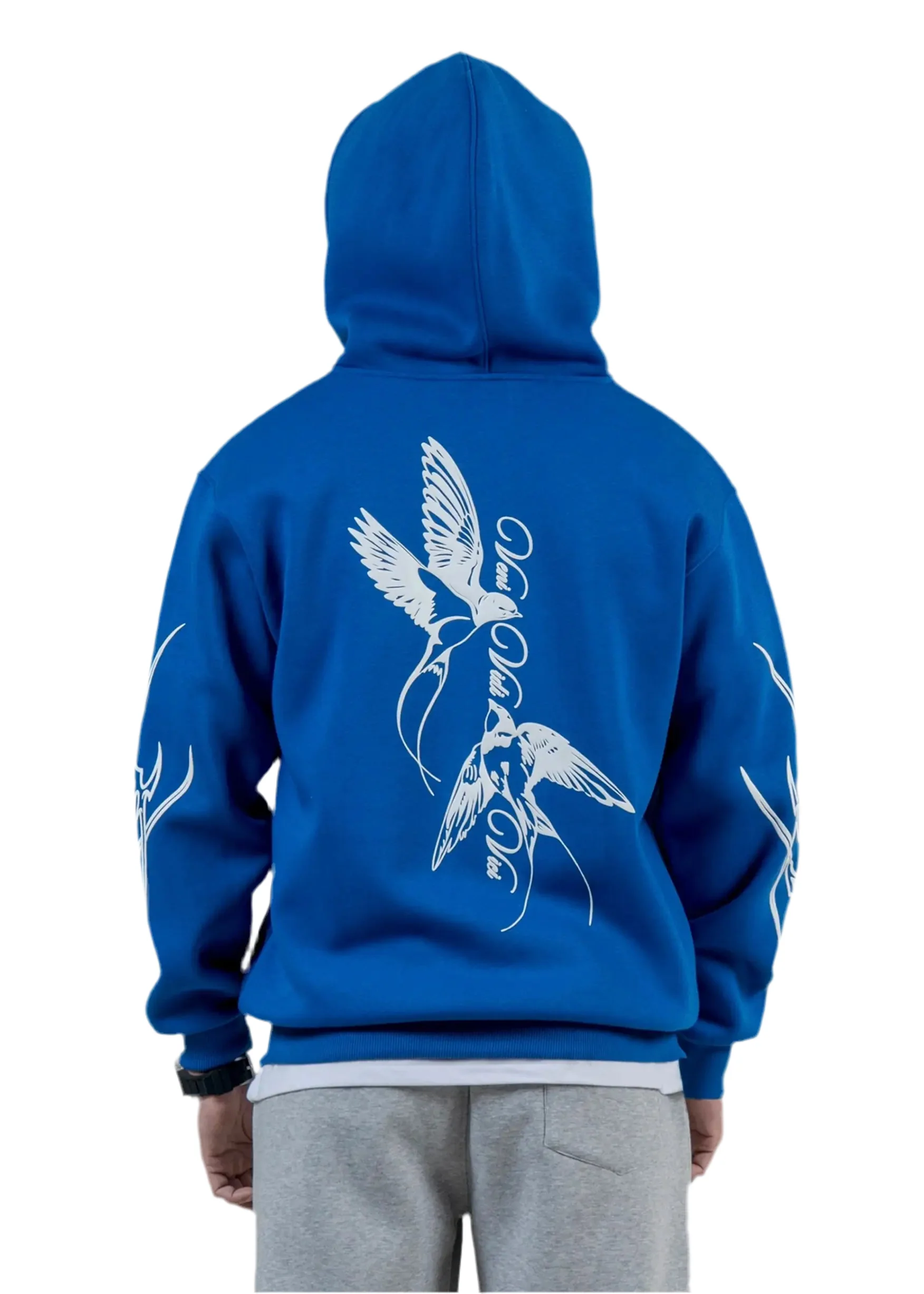 VENI VIDI VICI HOODIE - Image 4